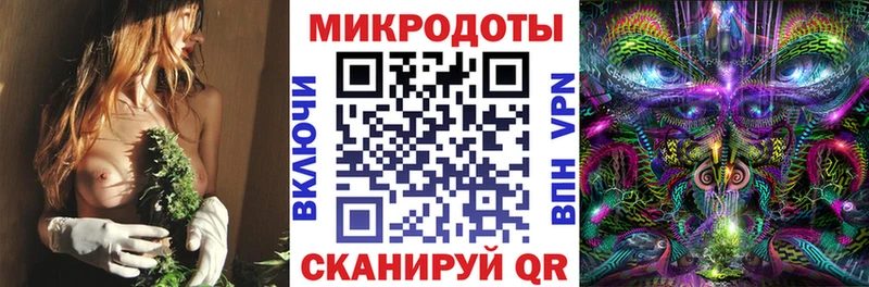 Псилоцибиновые грибы Cubensis  где купить наркоту  Чердынь 